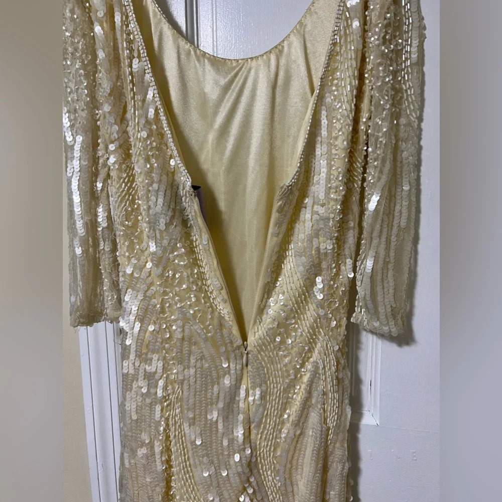 Sequin Lace Midi Dress Size 2 - Picture 10 of 15